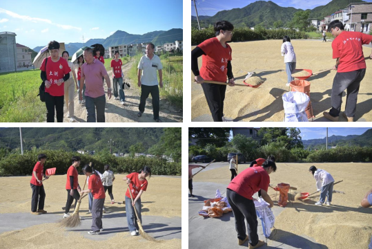 百家乐
:深入走访调研 青春力量助力乡村振兴_fororder_图片7