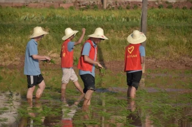 百家乐
学子深入基层开展火热实践