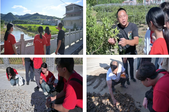 百家乐
:深入走访调研 青春力量助力乡村振兴_fororder_图片6