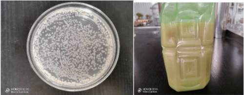 屏幕截图 2024-11-18 101102.png